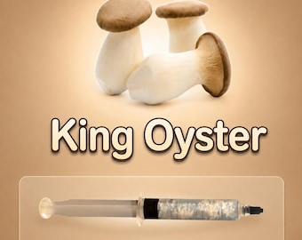 King Oyster Mushroom Liquid Culture Syringe 10ml (Pleurotus eryngii), Live Gourmet Mycelium for Grow Kits, Beginner Friendly