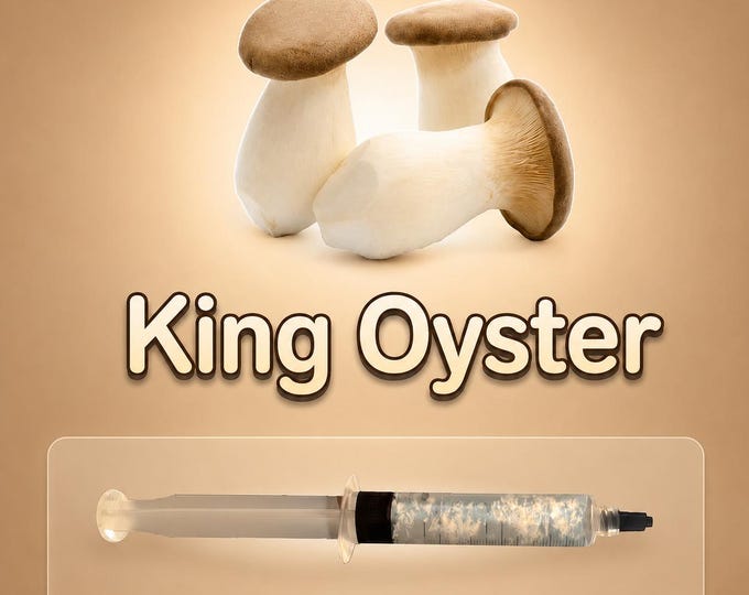 King Oyster Mushroom Liquid Culture Syringe 10ml (Pleurotus eryngii), Live Gourmet Mycelium for Grow Kits, Beginner Friendly