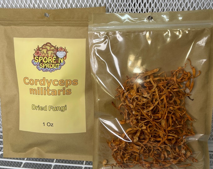 1 Oz Dehydrated Cordyceps Militaris Mushroom