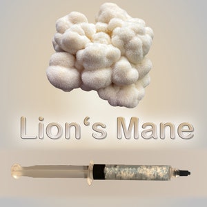 Lion's Mane Mushroom Liquid Culture  (Hericium Erinaceus)
