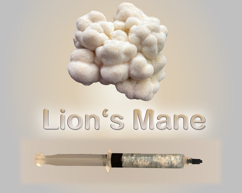 May include: A white Lion's Mane mushroom with a syringe filled with a clear liquid. The text "Lion's Mane" is written below the mushroom.