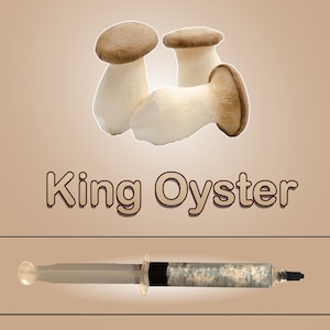 King Oyster Mushroom Liquid Culture image 1