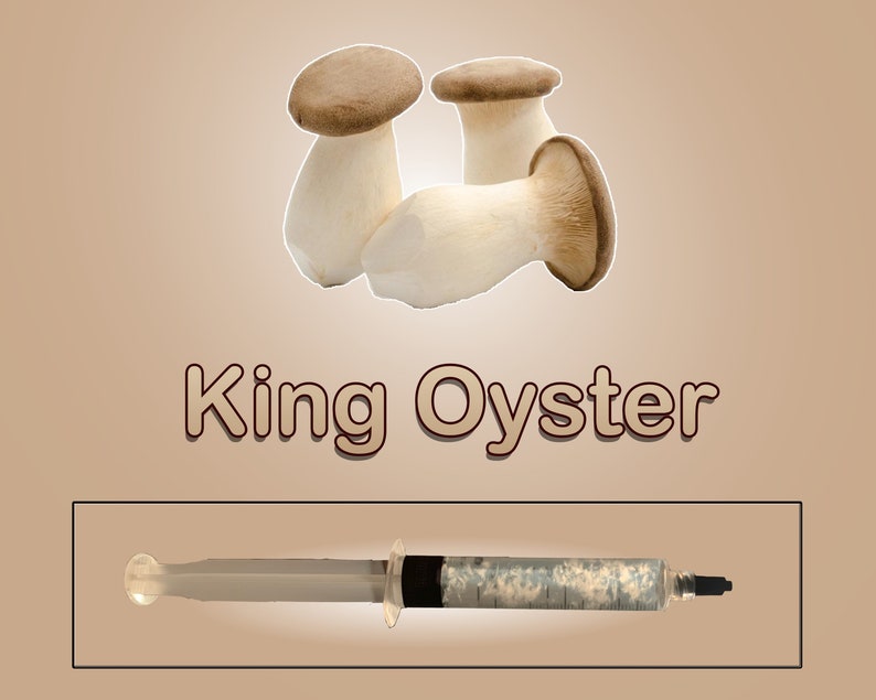 King Oyster Mushroom Liquid Culture image 1