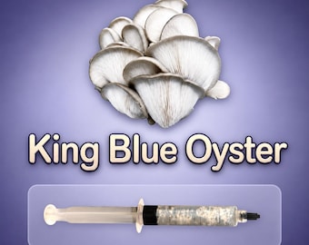 King Blue Oyster Mushroom Liquid Culture Syringe 10ml, Live Gourmet Mycelium for Grow Kits, Fast Growing Beginner Friendly