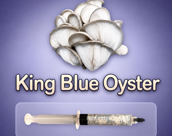 King Blue Oyster Mushroom Liquid Culture Syringe 10ml, Live Gourmet Mycelium for Grow Kits, Fast Growing Beginner Friendly