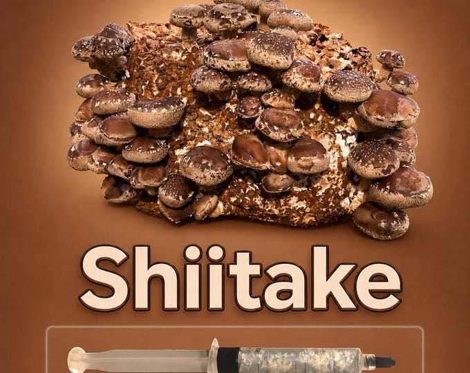 Shiitake Mushroom Liquid Culture Syringe 10ml (Lentinula edodes), Live Gourmet Mycelium for Log & Grow Kits, Beginner Friendly