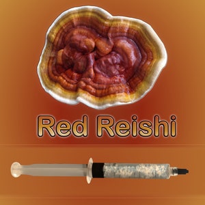 Red Reishi Mushroom Liquid Culture