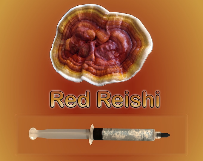 Red Reishi Mushroom Liquid Culture