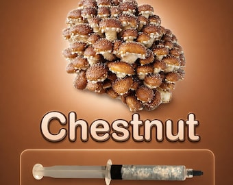 Chestnut Mushroom Liquid Culture Syringe 10ml (Pholiota adiposa), Live Gourmet Mycelium for Grow Kits, Beginner Friendly