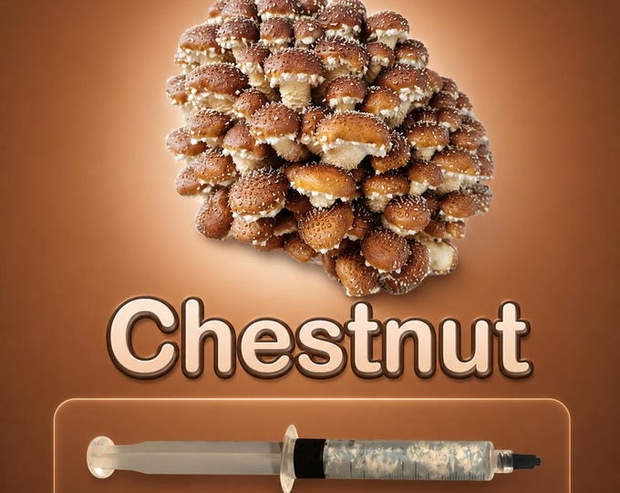 Chestnut Mushroom Liquid Culture Syringe 10ml (Pholiota adiposa), Live Gourmet Mycelium for Grow Kits, Beginner Friendly