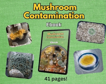 Mushroom Contamination Ebook | Beginner Mycology Guide to Identify, Prevent and Beat Mold, Bacteria & Pests | Printable PDF