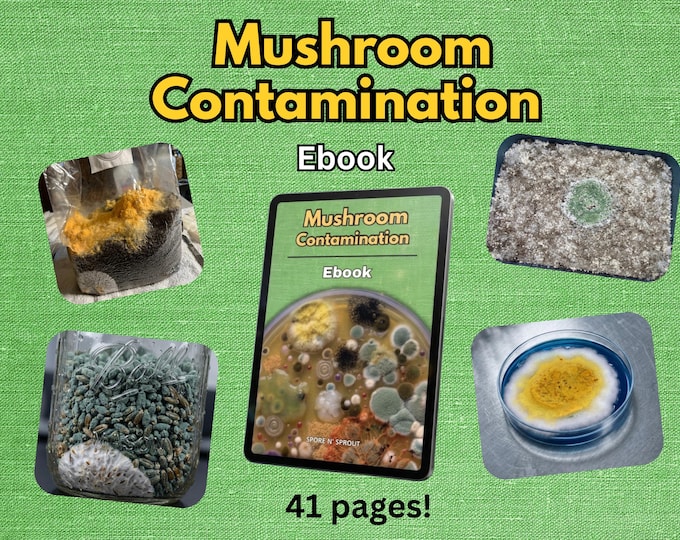 Mushroom Contamination Ebook | Beginner Mycology Guide to Identify, Prevent and Beat Mold, Bacteria & Pests | Printable PDF