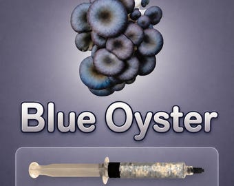 Blue Oyster Mushroom Liquid Culture Syringe 10ml (Pleurotus ostreatus), Live Gourmet Mycelium for Grow Kits, Beginner Friendly