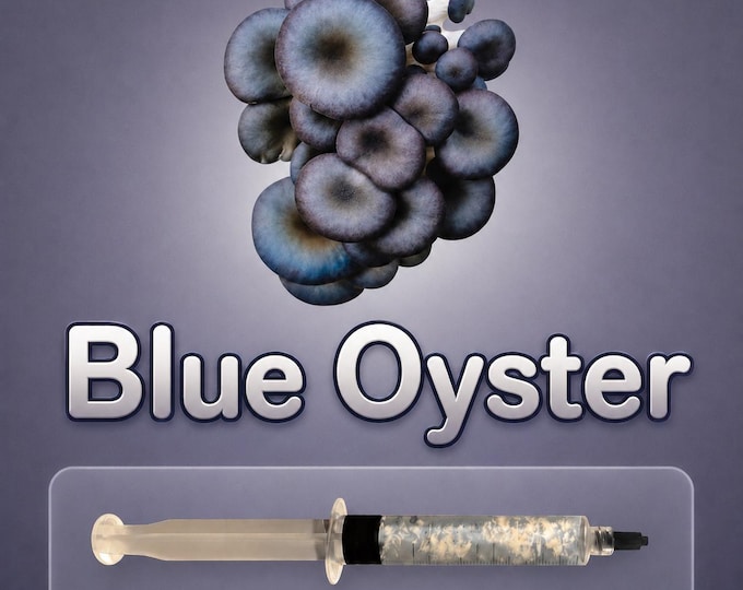 Blue Oyster Mushroom Liquid Culture Syringe 10ml (Pleurotus ostreatus), Live Gourmet Mycelium for Grow Kits, Beginner Friendly