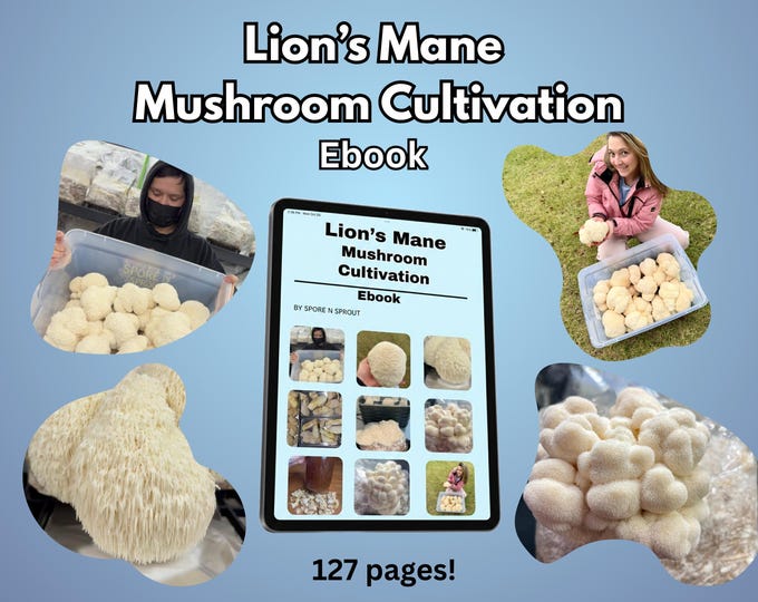How to Grow Lion’s Mane Mushrooms - Ebook - PDF Download