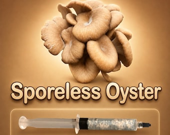 Sporeless Oyster Mushroom Liquid Culture Syringe 10ml (Pleurotus), Low Spore Gourmet Mycelium for Grow Kits, Allergy Friendly