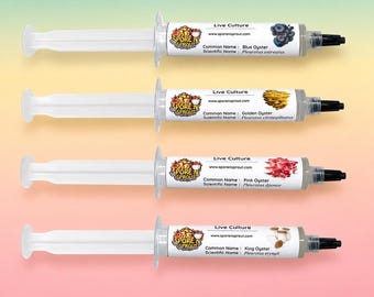 Oyster Mushroom Liquid Culture 4 Pack, Blue Gold Pink & King Oyster Syringes 10ml, Live Gourmet Mycelium Grow Kit Bundle, Beginner Friendly
