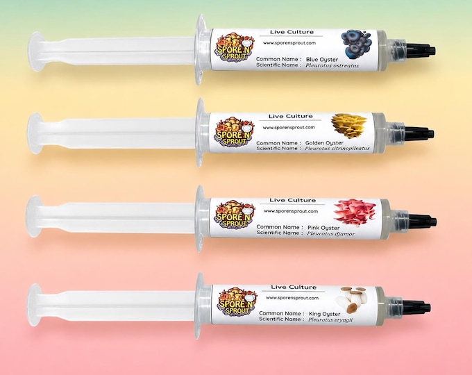 Oyster Mushroom Liquid Culture 4 Pack, Blue Gold Pink & King Oyster Syringes 10ml, Live Gourmet Mycelium Grow Kit Bundle, Beginner Friendly