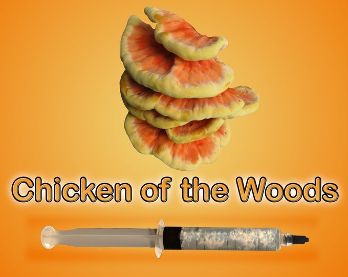 Chicken of the Woods Mushroom Liquid Culture