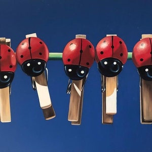 coccinelles