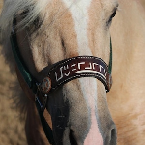 Mustang Brand Bronc Band Custom - Band Only - Equine Noseband - Tack - Leather - Tooled