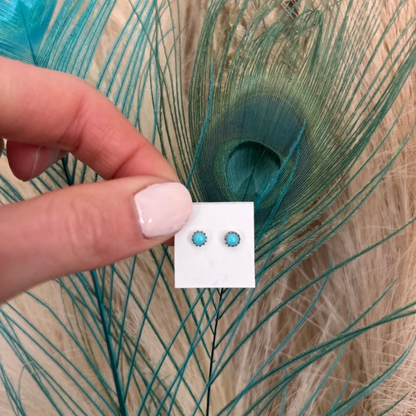 Sierlijke turkooizen stekers