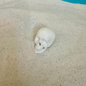 Skull Sand Tray Miniature for Sandtray Therapy Play Therapy
