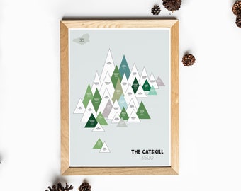 May include: A framed print of a minimalist graphic design depicting the Catskill Mountains in shades of green, blue, and gray. The print features the text "THE CATSKILL 3500" at the bottom.