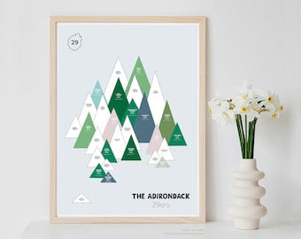 May include: A framed print of a mountain range with the text "THE ADIRONDACK 29ers" at the bottom. The mountains are represented by green, blue, and pink triangles.