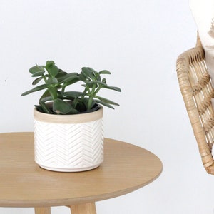 Small Ceramic Planter Pot White on Beige for Succulents and Indoor Plants