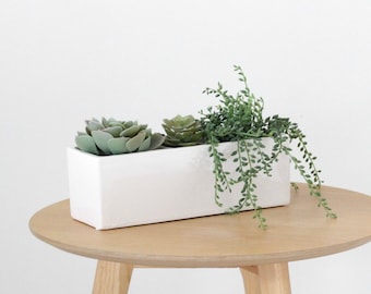 White Ceramic Rectangular Planter Box Indoor