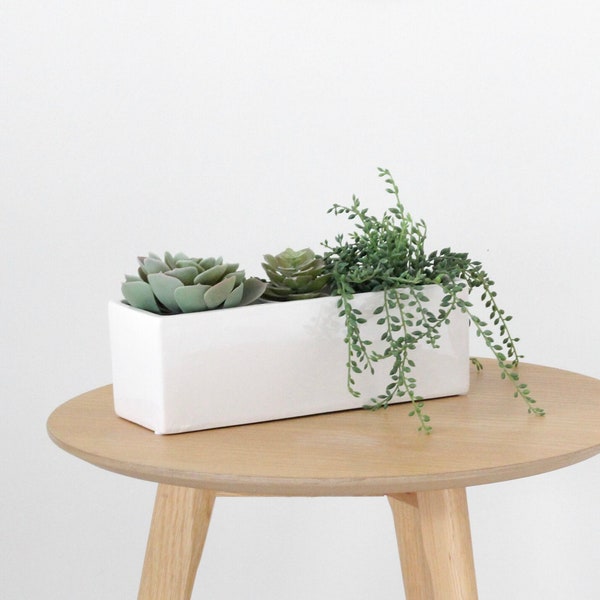 White Ceramic Rectangular Planter Box Indoor