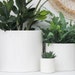 see more listings in the Tabletop Planters section