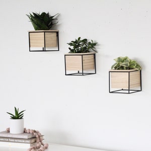 Wood Wall Brackets for Hanging Planters Pendant Light Holder Wooden Wall  Hook Made in Canada 