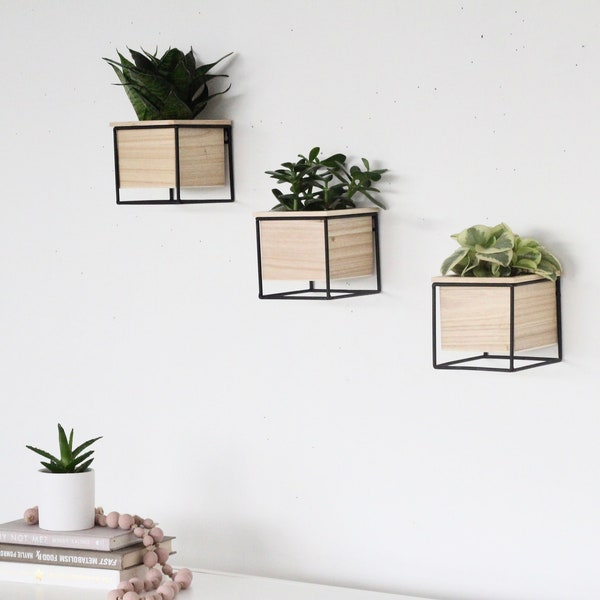 Wall Planter - Etsy