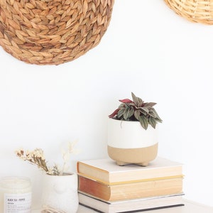 Small Natural and White Neutral Planter Pot