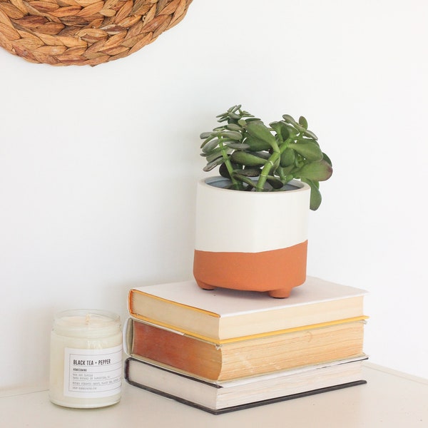 Small Terracotta and Matte White Footed Succulent Planter Pot