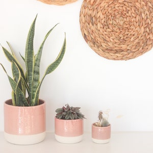 Blush Pink and Natural Ceramic Planter Pot with Crackle Glaze