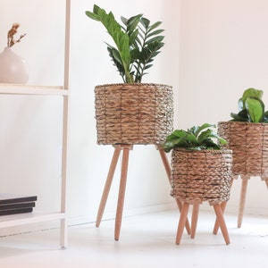 Boho Vintage Cat Tail Woven Plant Stand Set of 3