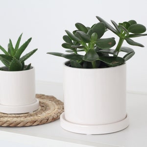 Planter with Saucer in Minimalist Glossy White