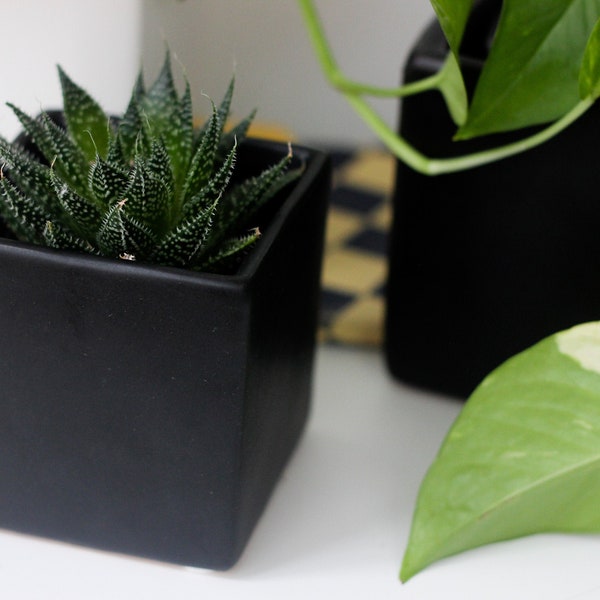 Mini Ceramic Cube Planter in Matte Black