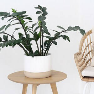 Extra Large Minimalist Boho Ceramic Planter Pot