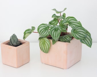 Small Terracotta Blush Pink Cube Planter