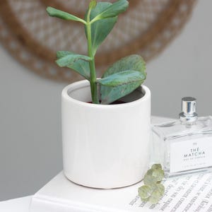 Mini Ceramic Plant Pot in Glossy White