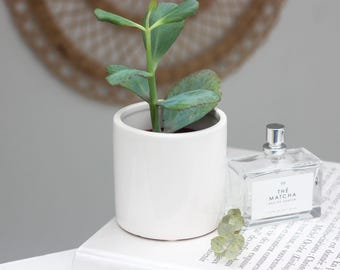 Mini Ceramic Plant Pot in Glossy White