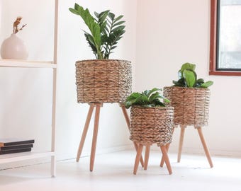 Boho Vintage Cat Tail Woven Plant Stand