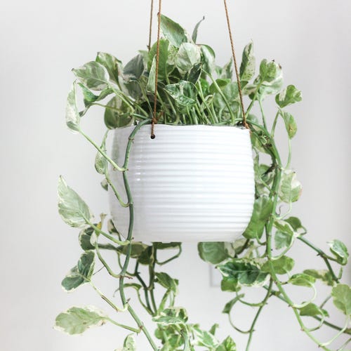 Large Textured Glossy White Ceramic Hanging Planter Pot