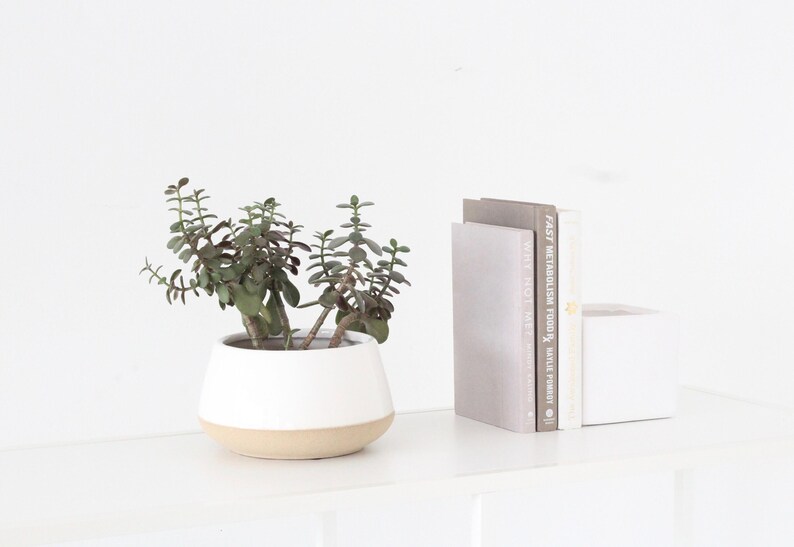 Large Orchid planter in White Ceramic on Beige 画像 2