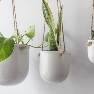 May include: Three white hanging planters with various green plants suspended by brown rope. The plants include pothos, snake plant, and a succulent. The background is a plain white wall.
