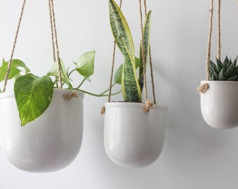 May include: Three white hanging planters with various green plants suspended by brown rope. The plants include pothos, snake plant, and a succulent. The background is a plain white wall.